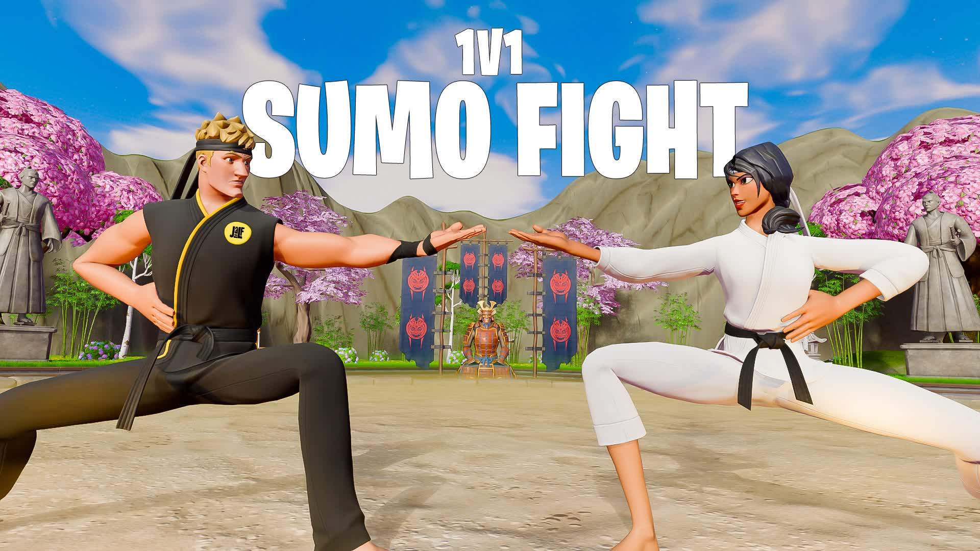 1V1 SUMO