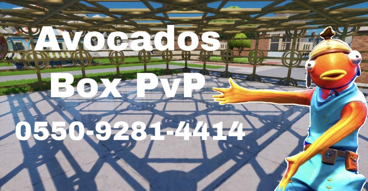 AVOCADOS BOX PVP