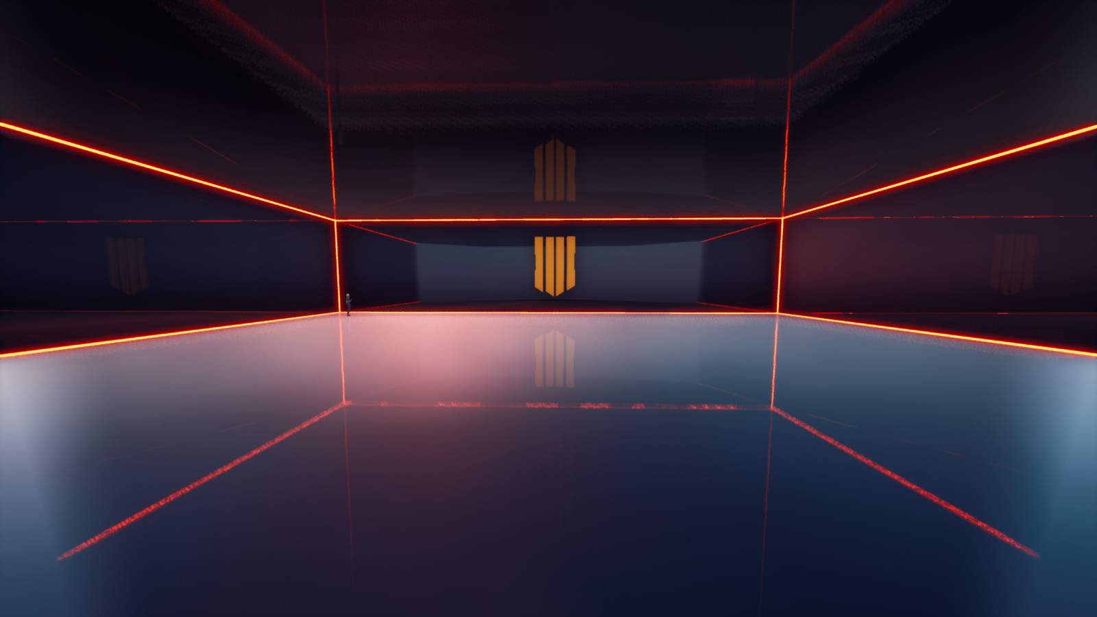 CALL OF DUTY BLACK OPS 4 BOX FIGHT!!!