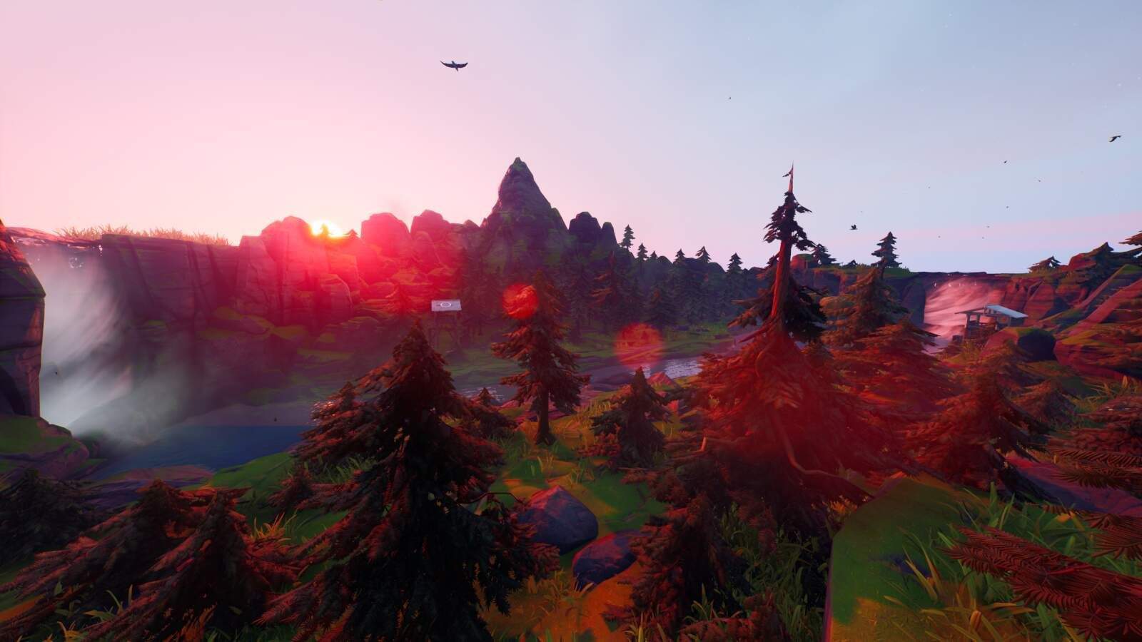 ONE SHOT : WILD FOREST