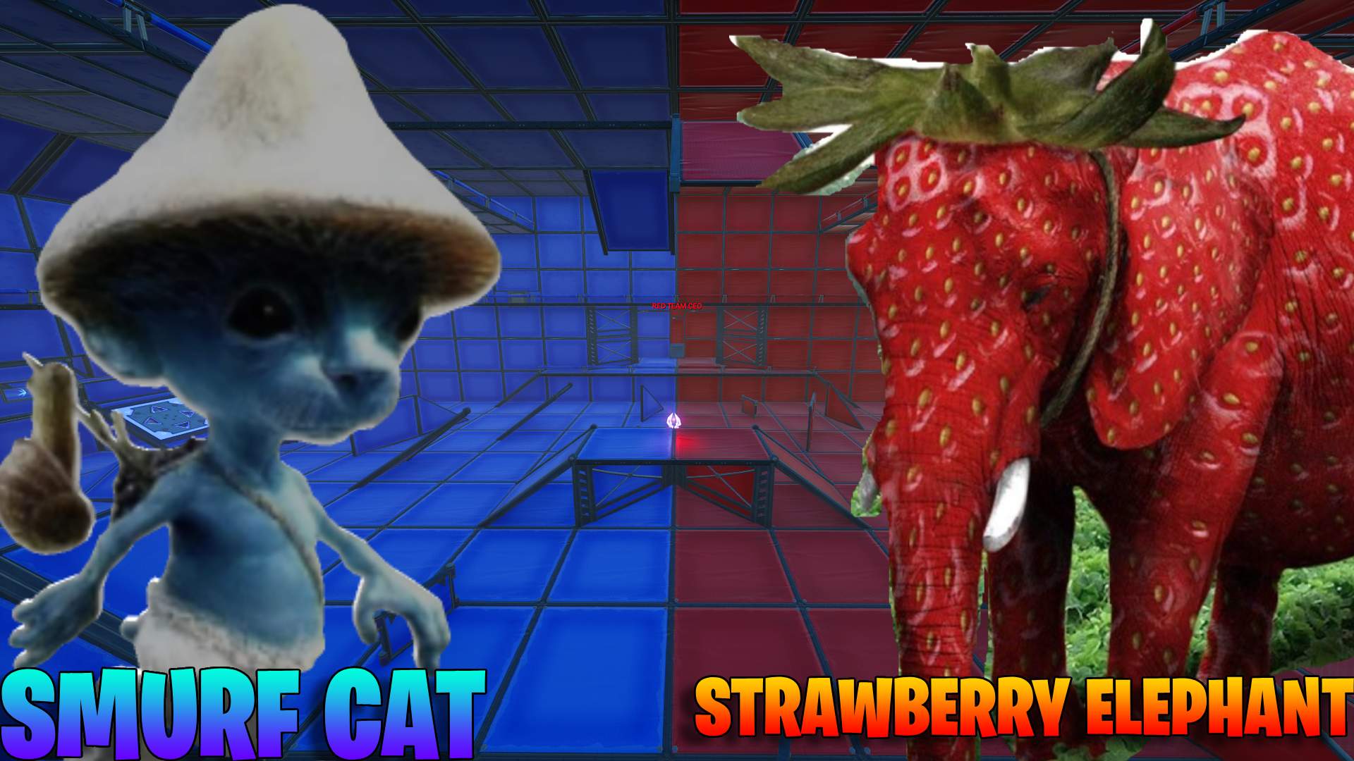 SMURF CAT VS STRAWBERRY ELEPHANT BATTLE