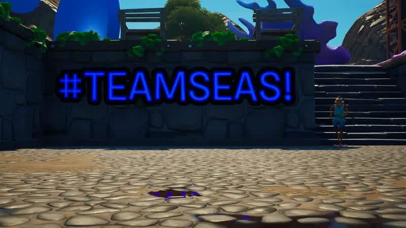 TEAMSEAS