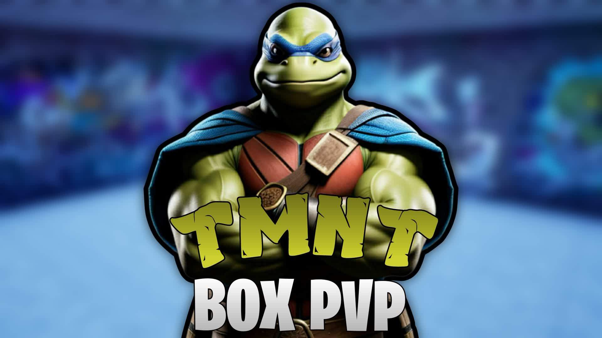 🐢 NINJA TURTLES BOXFIGHTS 📦