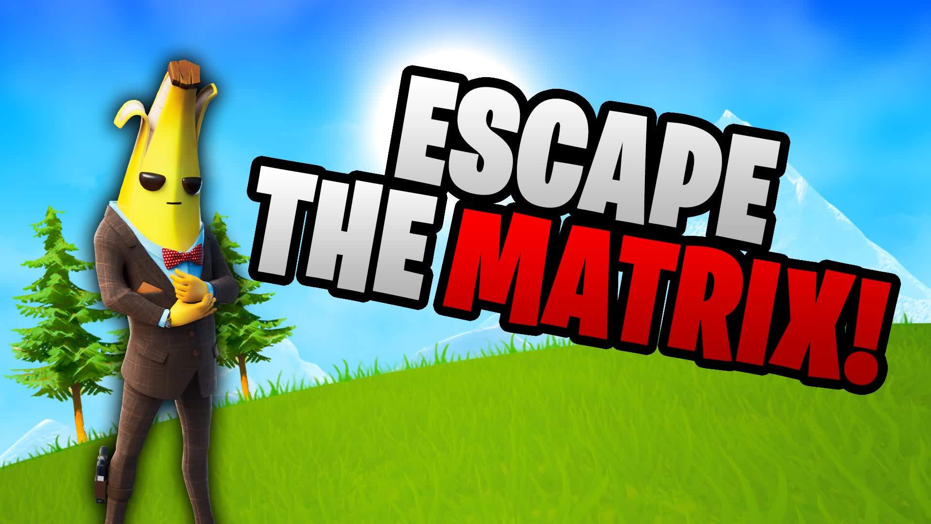 Escape the Matrix