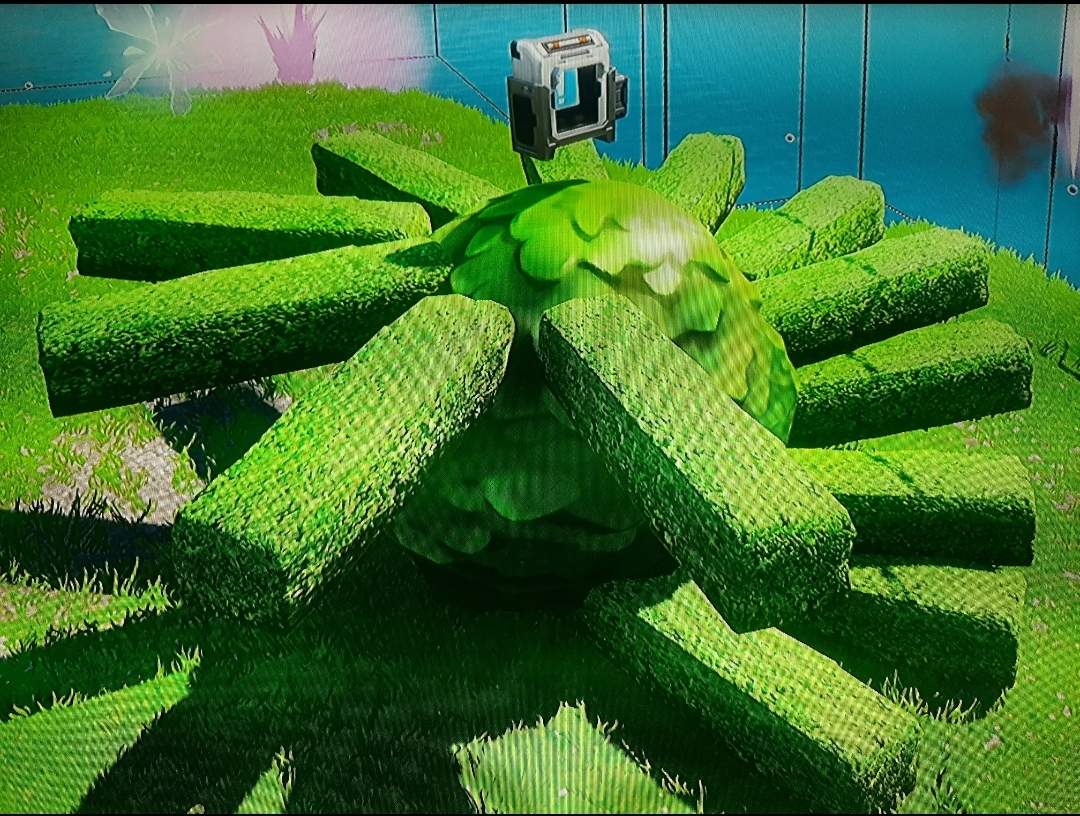 CORONA'S REMEDY ESCAPE