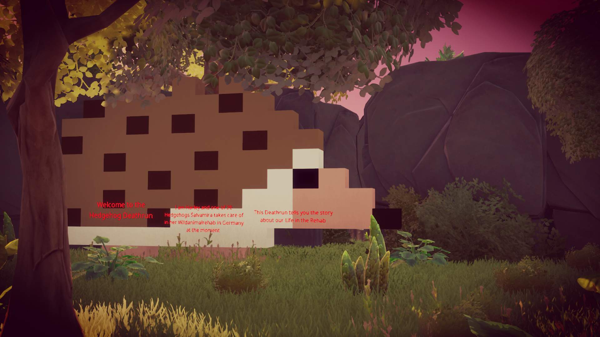 THE HEDGEHOG DEATHRUN