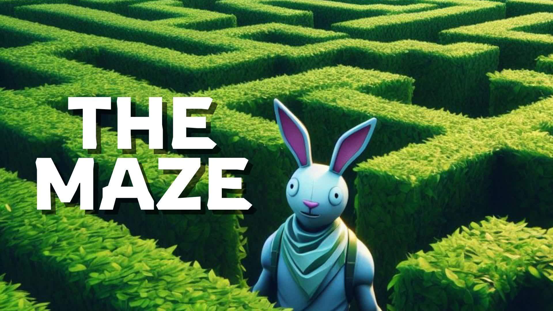 2D MAZE