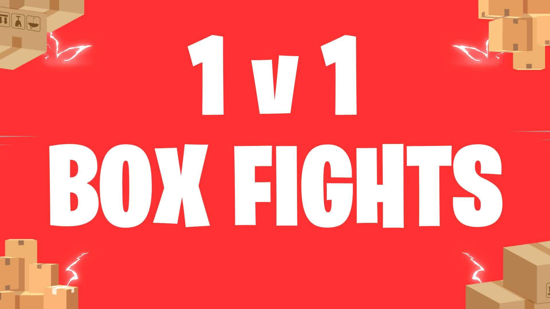 1v1 BOX FIGHT