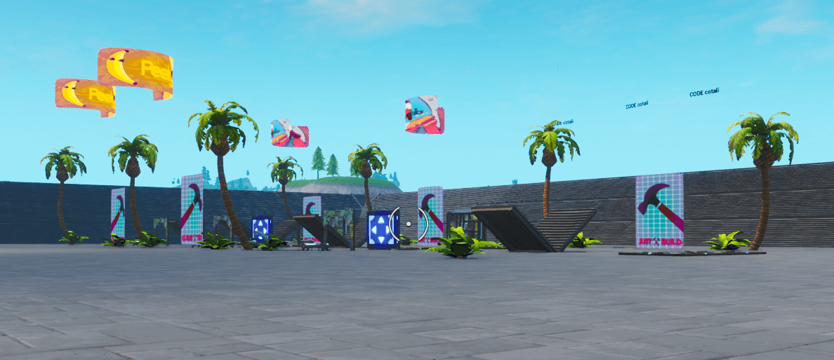 1V1 | COTALI X VIEWR