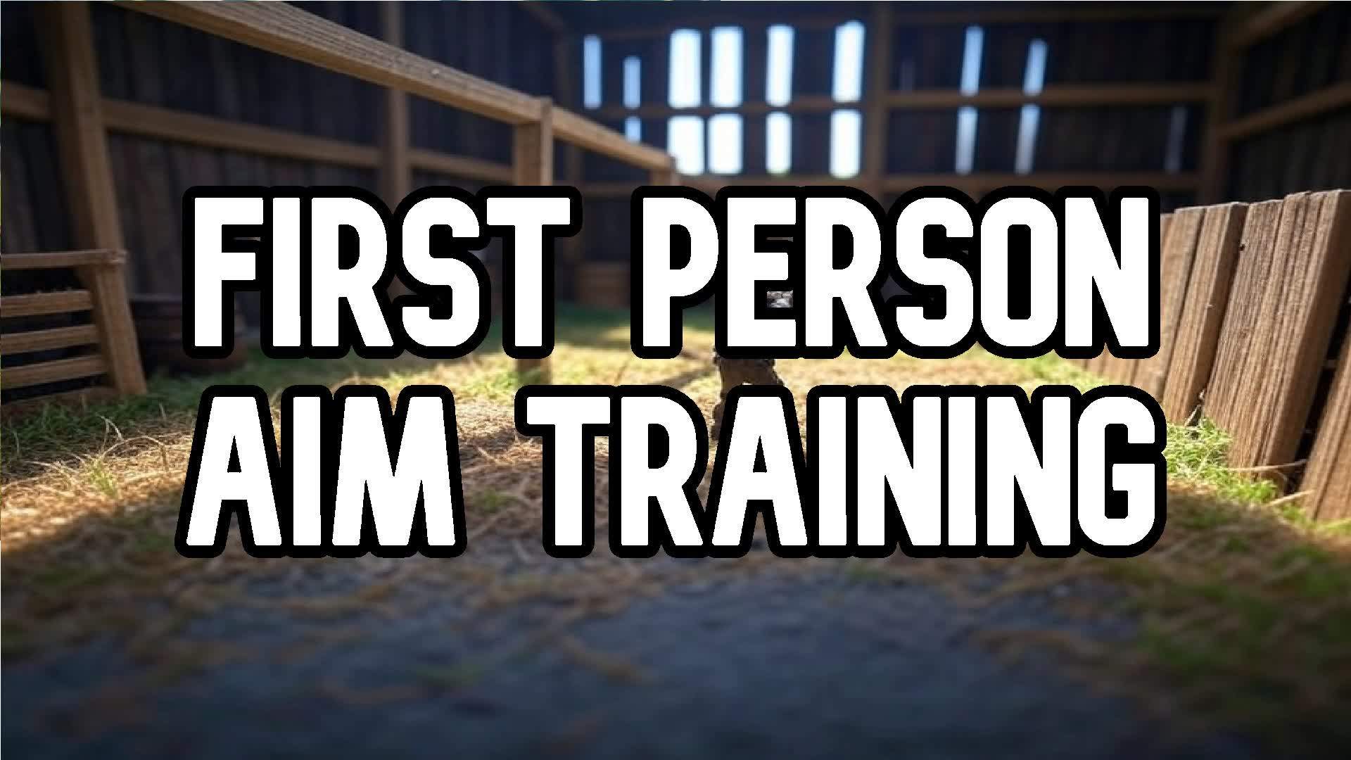 FIRST PERSON BALLISTIC AIM TRAINING