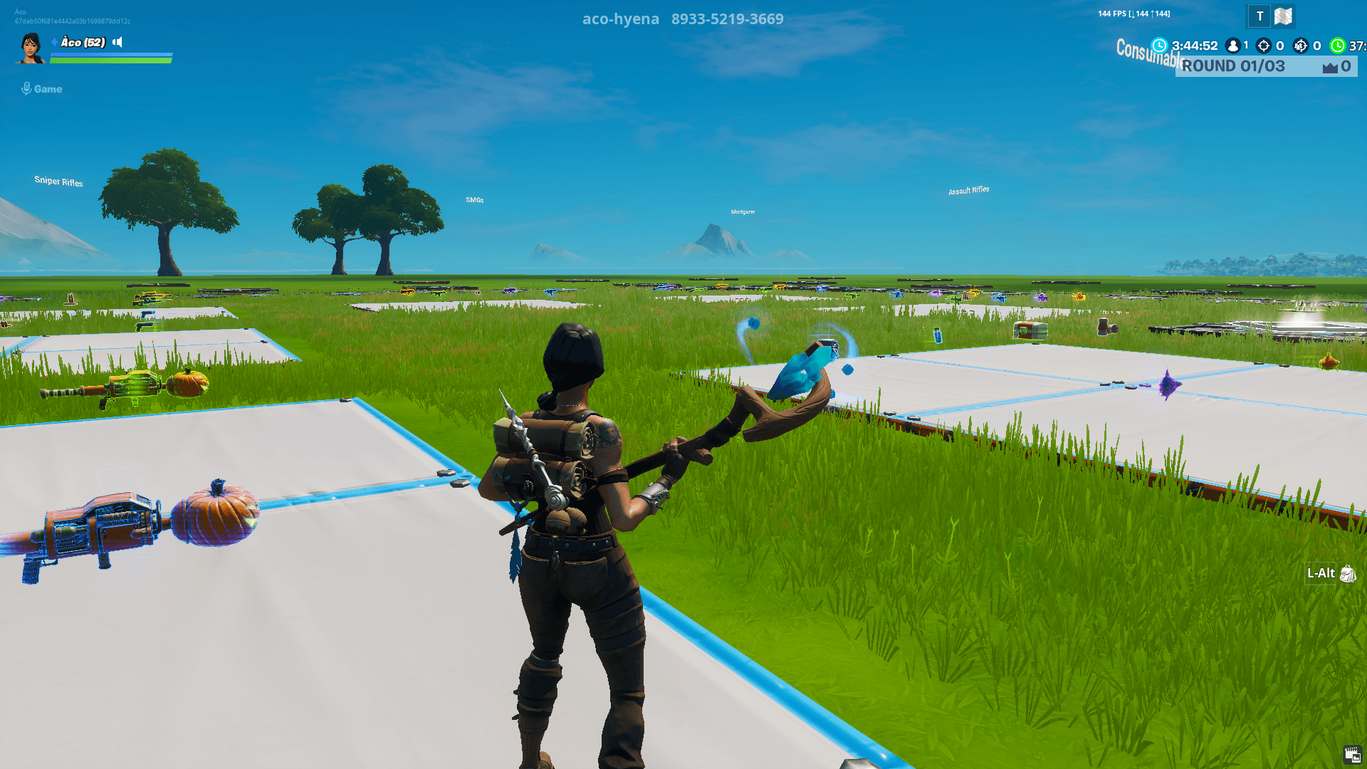 ACO'S FFA // NO VAULTED ITEMS V2.1