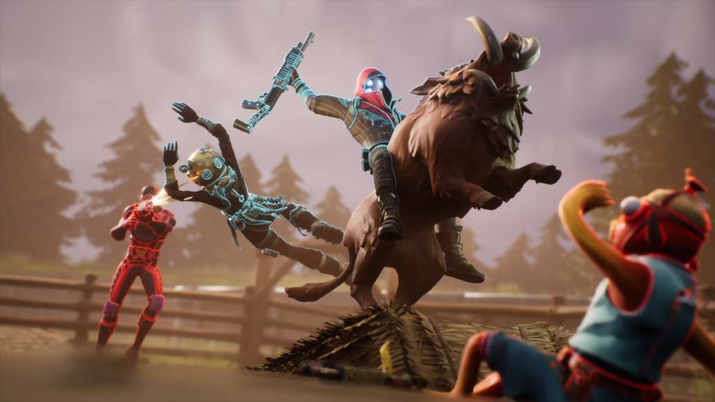 🐂KING OF THE BOAR🚩